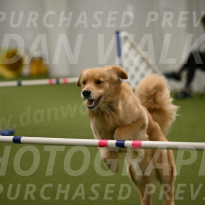 Kelly-Peggy-Abrams-06489