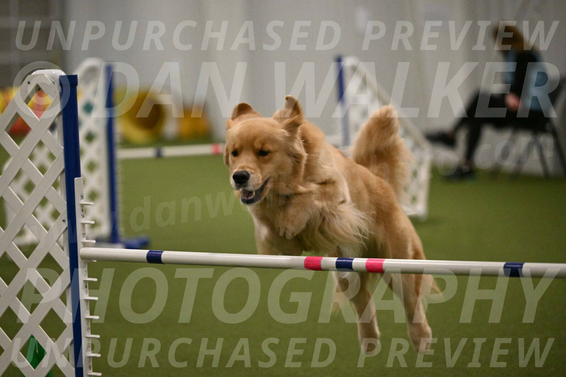 Kelly-Peggy-Abrams-06490