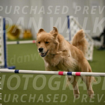 Kelly-Peggy-Abrams-06490