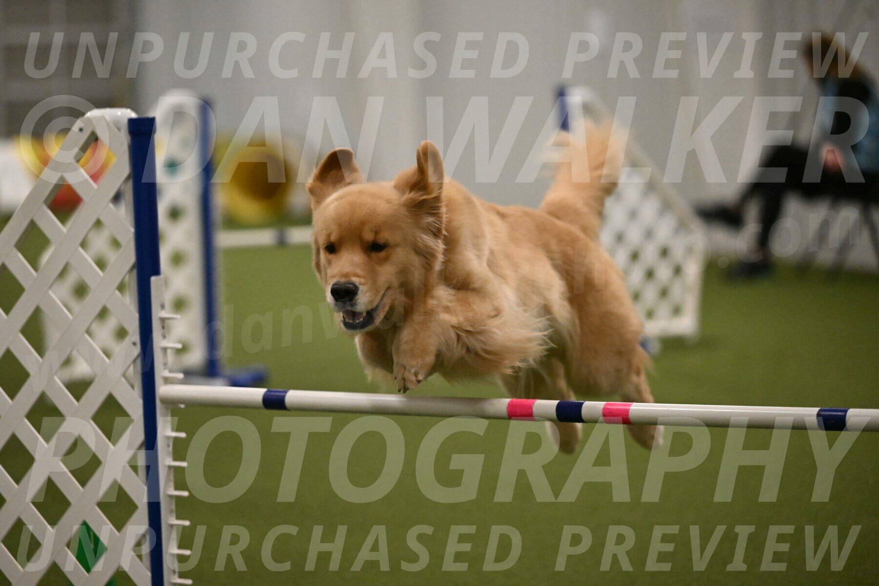 Kelly-Peggy-Abrams-06491