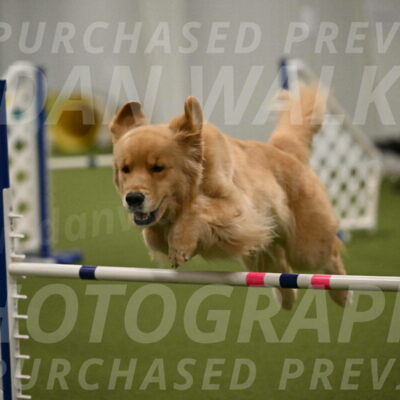 Kelly-Peggy-Abrams-06491