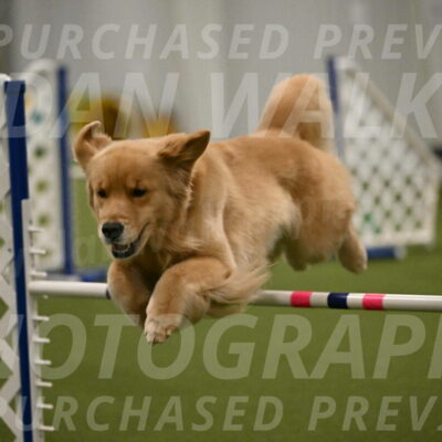 Kelly-Peggy-Abrams-06492