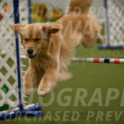 Kelly-Peggy-Abrams-06493