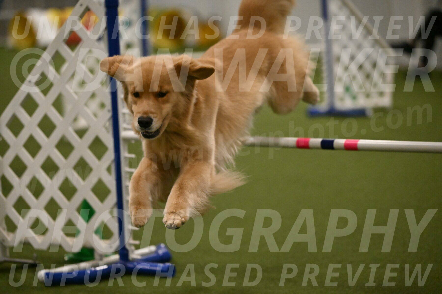 Kelly-Peggy-Abrams-06493