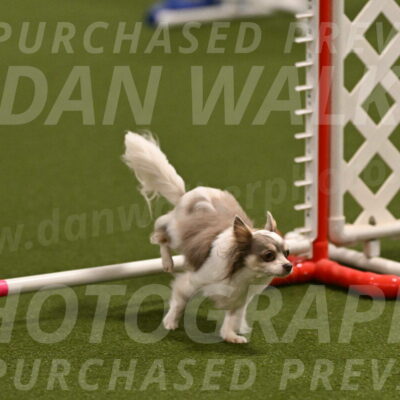 Kevin-Bacon-Margaret-Poulin-08365