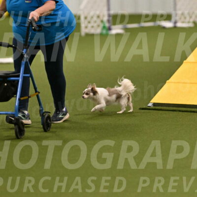 Kevin-Bacon-Margaret-Poulin-08366