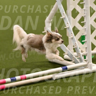 Kevin-Bacon-Margaret-Poulin-08368