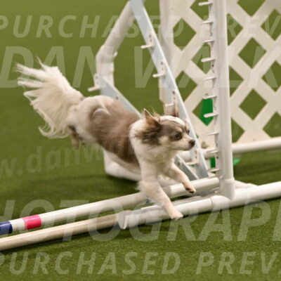 Kevin-Bacon-Margaret-Poulin-08369