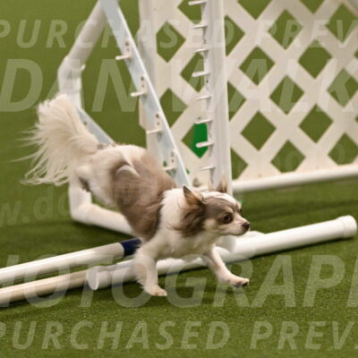 Kevin-Bacon-Margaret-Poulin-08370