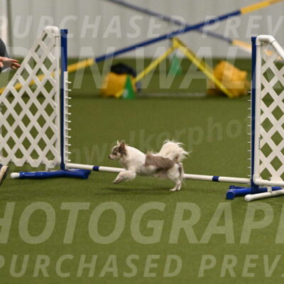 Kevin-Bacon-Margaret-Poulin-08381
