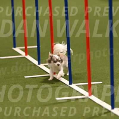 Kevin-Bacon-Margaret-Poulin-08386