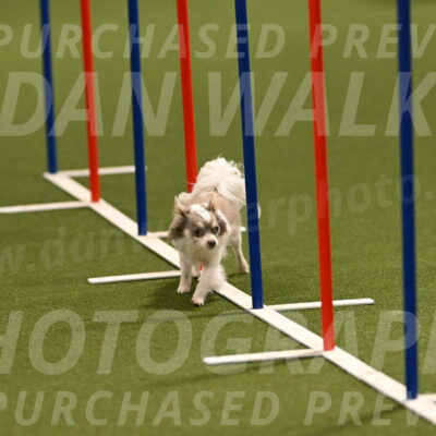 Kevin-Bacon-Margaret-Poulin-08387