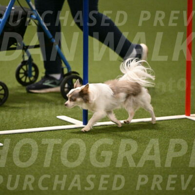Kevin-Bacon-Margaret-Poulin-08398