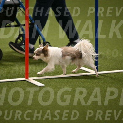 Kevin-Bacon-Margaret-Poulin-08401