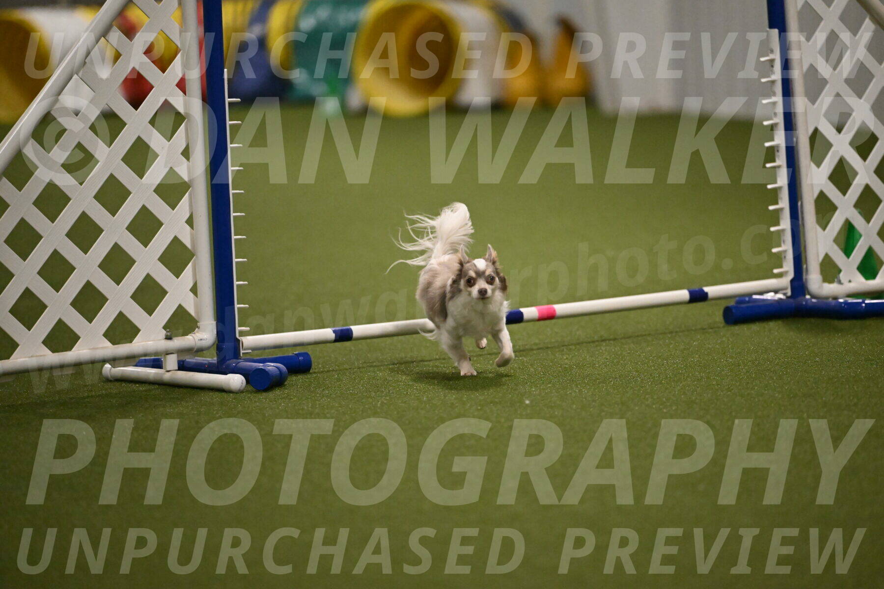 Kevin-Bacon-Margaret-Poulin-08413