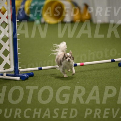 Kevin-Bacon-Margaret-Poulin-08413