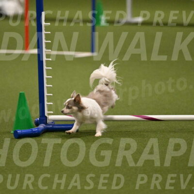 Kevin-Bacon-Margaret-Poulin-08415