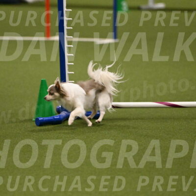 Kevin-Bacon-Margaret-Poulin-08417