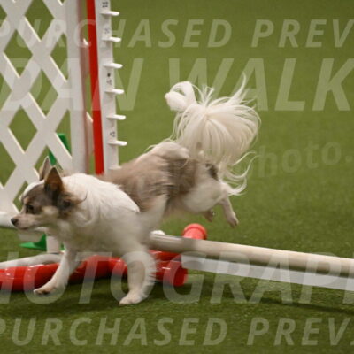 Kevin-Bacon-Margaret-Poulin-08418