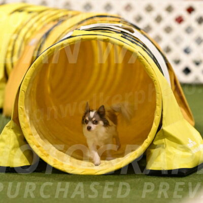 Kevin-Bacon-Margaret-Poulin-08431