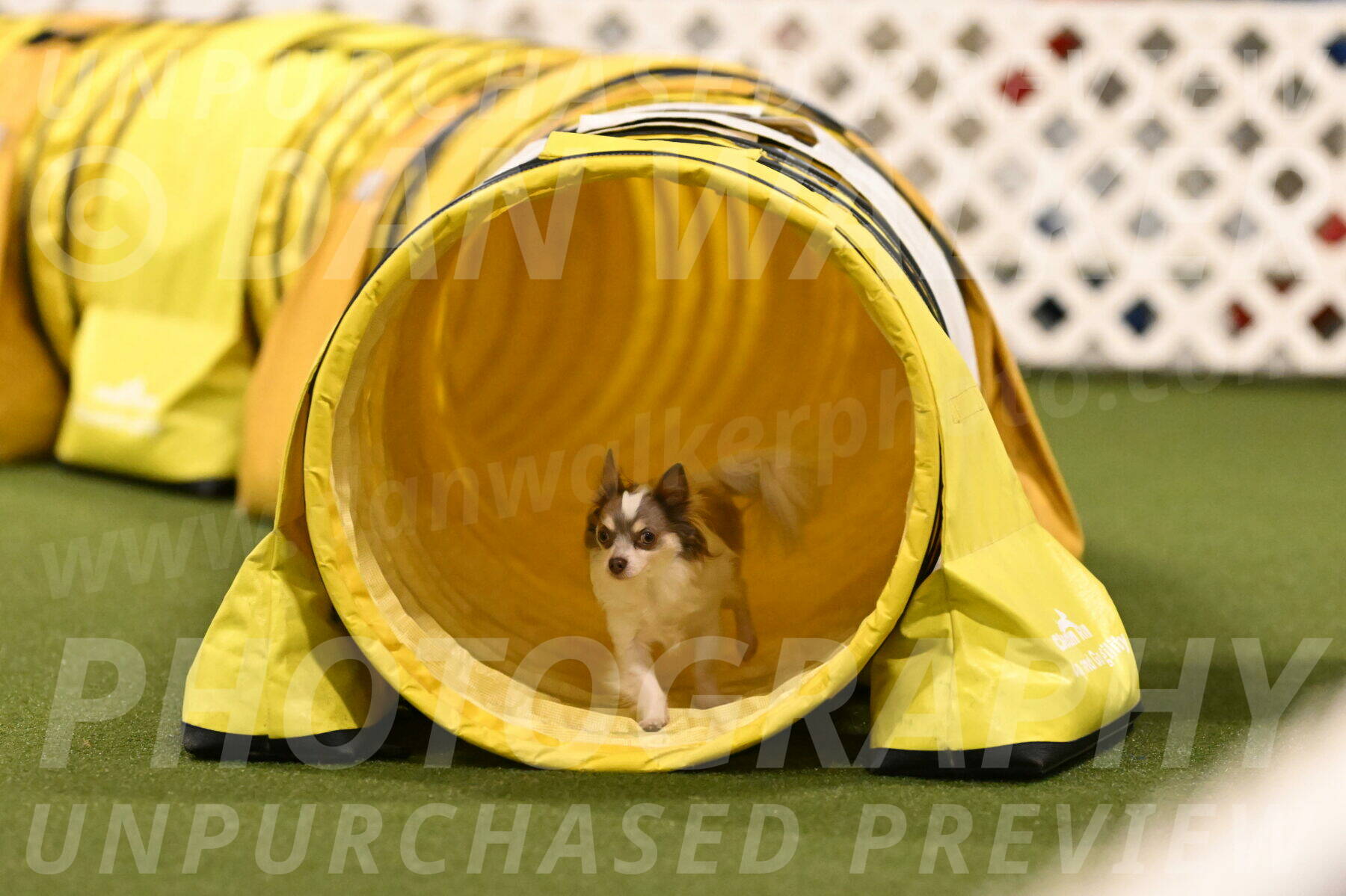 Kevin-Bacon-Margaret-Poulin-08431
