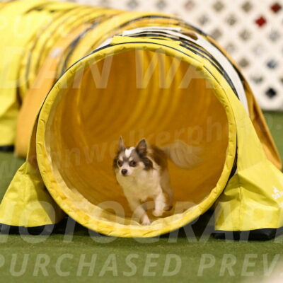 Kevin-Bacon-Margaret-Poulin-08432