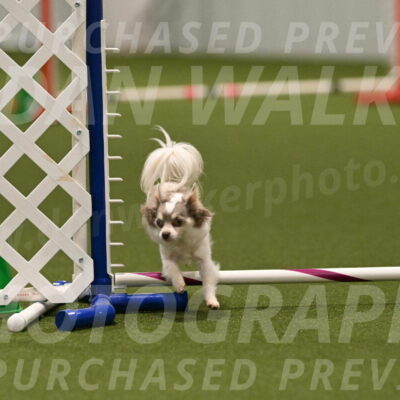 Kevin-Bacon-Margaret-Poulin-08440
