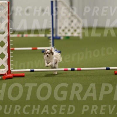 Kevin-Bacon-Margaret-Poulin-08441