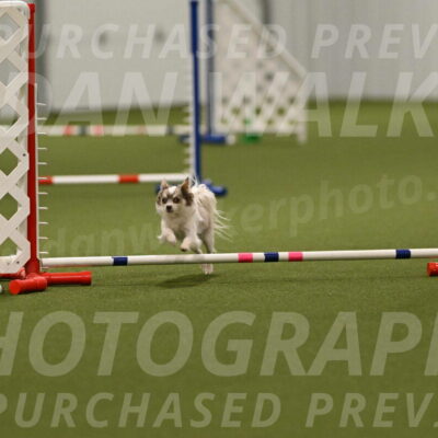 Kevin-Bacon-Margaret-Poulin-08442
