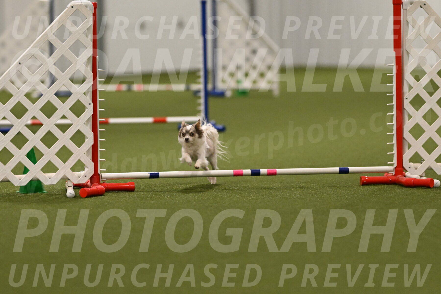 Kevin-Bacon-Margaret-Poulin-08442
