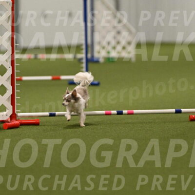 Kevin-Bacon-Margaret-Poulin-08444
