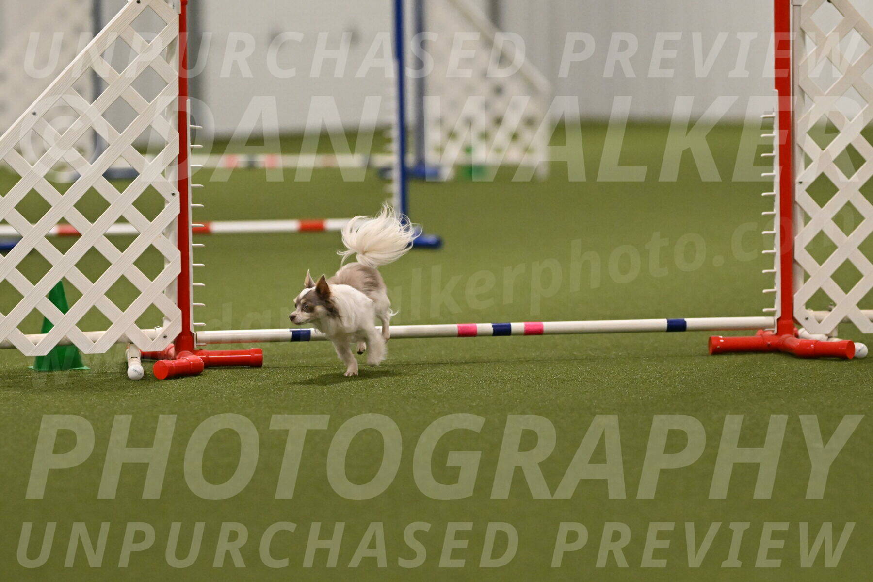Kevin-Bacon-Margaret-Poulin-08446