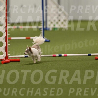 Kevin-Bacon-Margaret-Poulin-08446