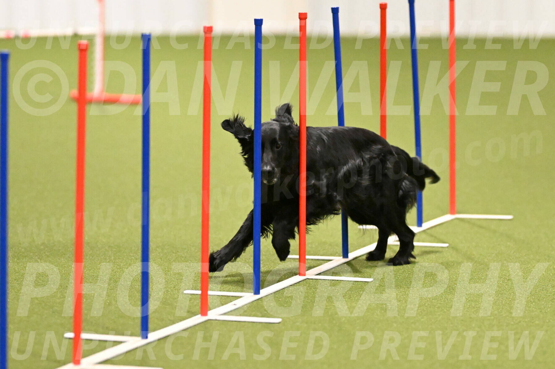 Kevin-Toni-Fern-10192