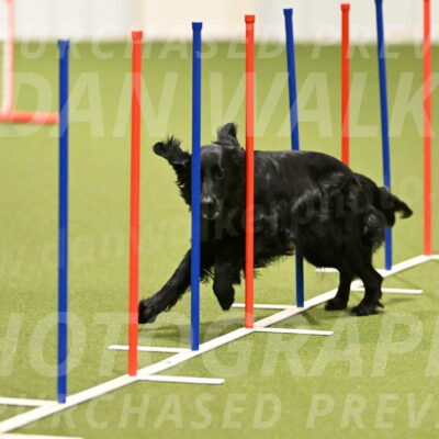 Kevin-Toni-Fern-10192