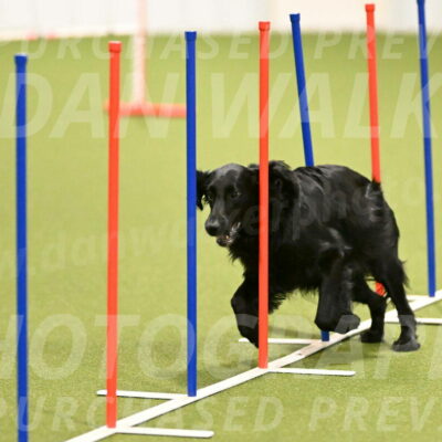 Kevin-Toni-Fern-10193