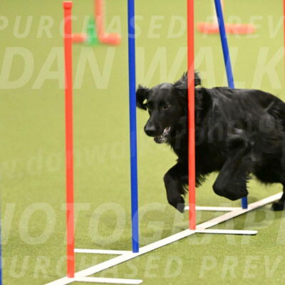 Kevin-Toni-Fern-10194