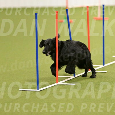 Kevin-Toni-Fern-10195