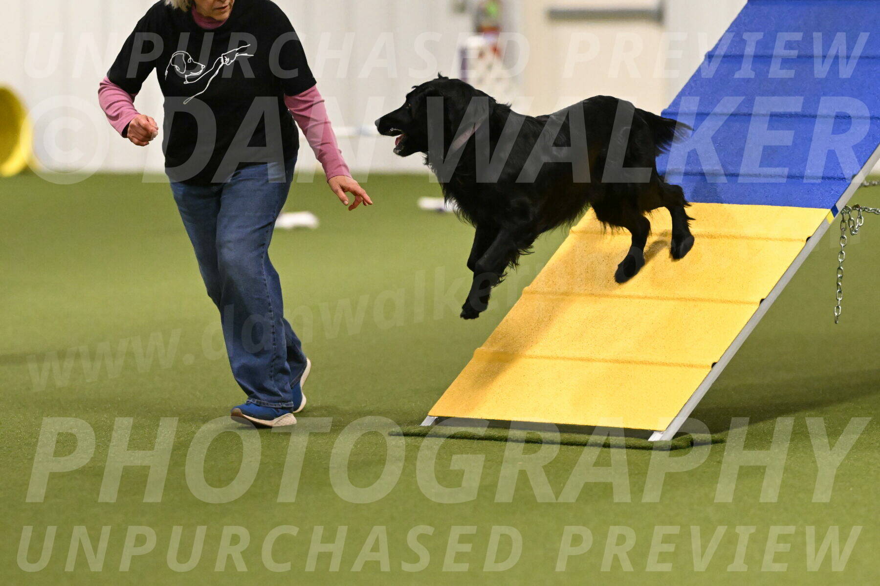 Kevin-Toni-Fern-10196