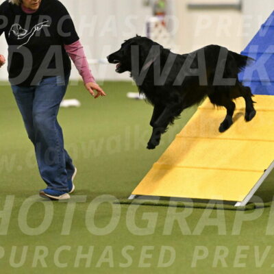 Kevin-Toni-Fern-10196