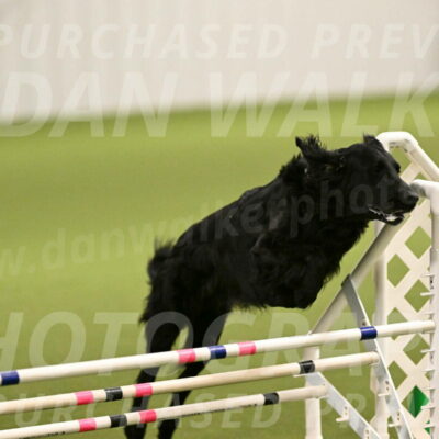 Kevin-Toni-Fern-10197