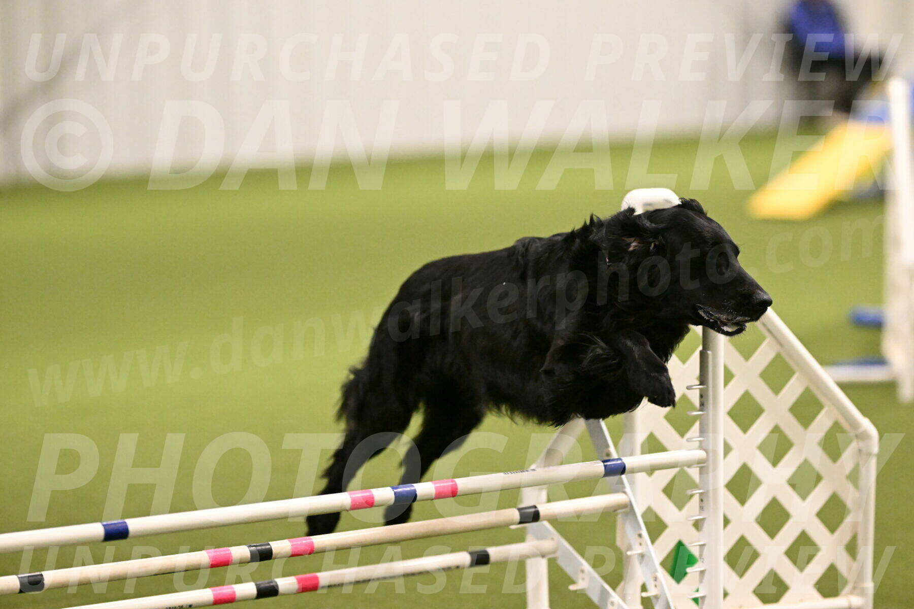 Kevin-Toni-Fern-10198