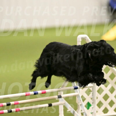 Kevin-Toni-Fern-10199