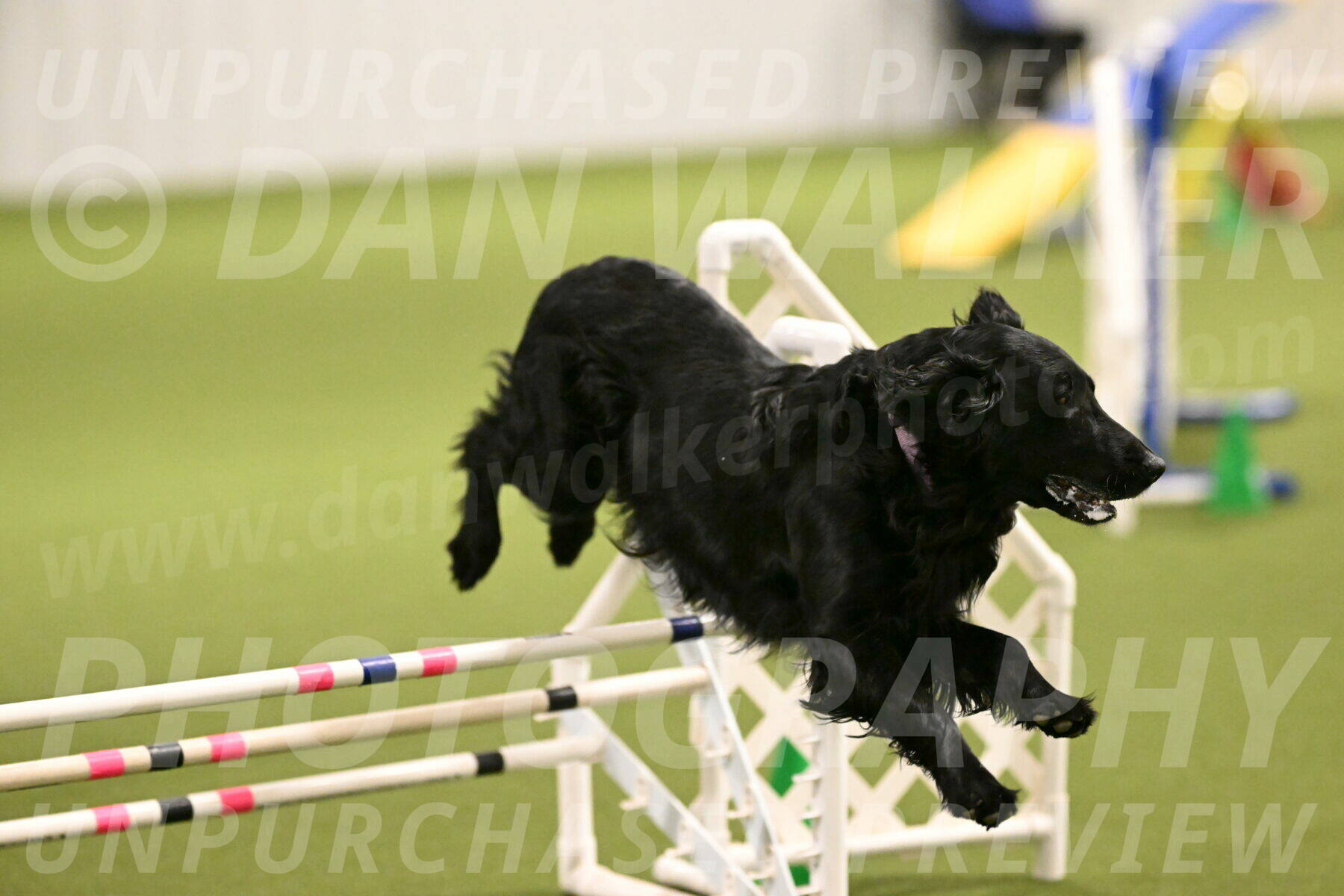 Kevin-Toni-Fern-10200