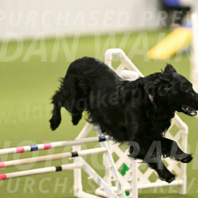 Kevin-Toni-Fern-10200