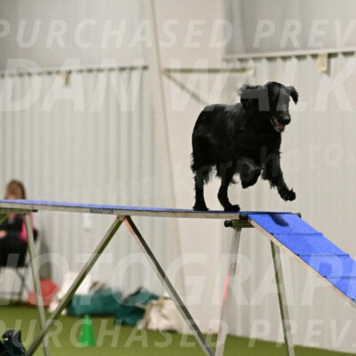 Kevin-Toni-Fern-10201