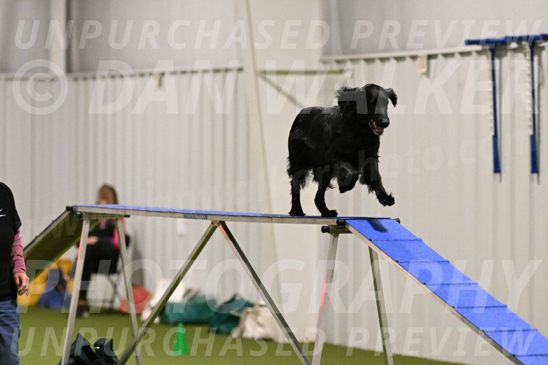 Kevin-Toni-Fern-10201