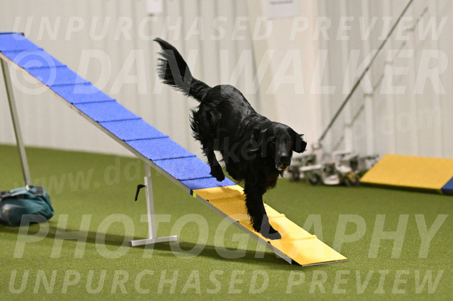 Kevin-Toni-Fern-10202