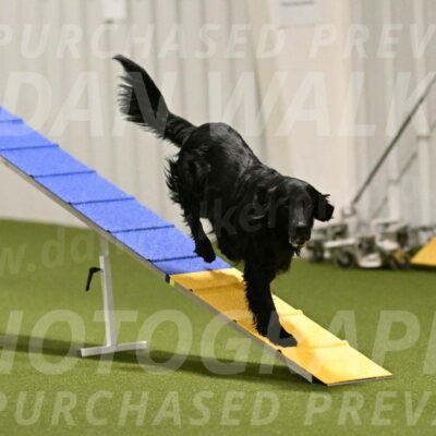 Kevin-Toni-Fern-10202