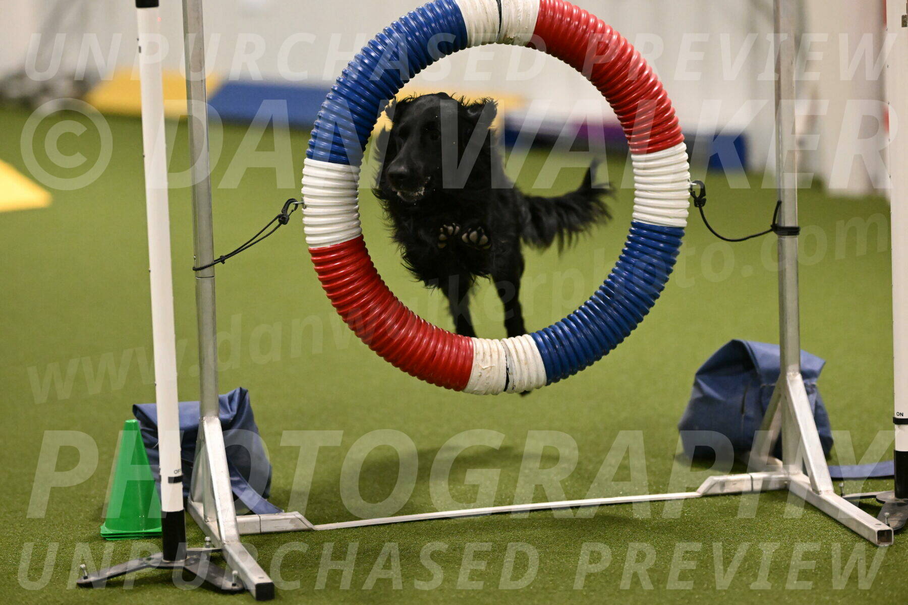 Kevin-Toni-Fern-10203